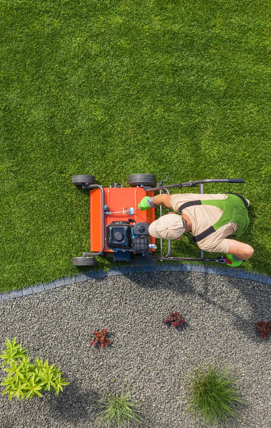 Seasonal lawn care for healthy yard growth